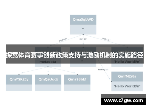 探索体育赛事创新政策支持与激励机制的实施路径